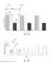 Fig. 03 - SYSTEMS AND METHODS FOR DETERMINING FLUID RESPONSIVENESS IN THE PRESENCE OF GAIN CHANGES AND BASELINE CHANGES