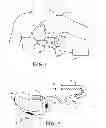 Fig. 02 - Staged rhythm detection system and method