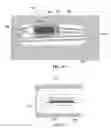 Fig. 07 - METHODS AND DEVICES FOR SAMPLE COLLECTION AND SAMPLE SEPARATION