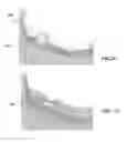 Fig. 11 - METHODS AND DEVICES FOR SAMPLE COLLECTION AND SAMPLE SEPARATION