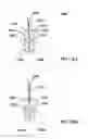 Fig. 32 - Systems, devices, and methods for bodily fluid sample collection