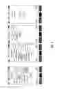 Fig. 03 - System and method for transmitting, receiving and analysing partograph information