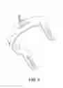Fig. 08 - KNEE BRACE WITH ADJUSTABLE BOLSTER