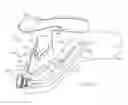 Fig. 10 - Cervical collar brace with cable adjustment