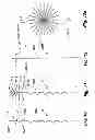 Fig. 11 - Microelectrode and multiple microelectrodes