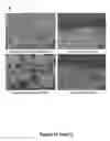 Fig. 51 - Materials, electronic systems and modes for active and passive transience
