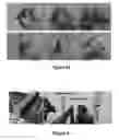 Fig. 56 - Materials, electronic systems and modes for active and passive transience