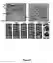 Fig. 57 - Materials, electronic systems and modes for active and passive transience
