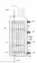 Fig. 01 - Temperature changing intracorporeal fluid delivery system