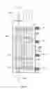 Fig. 06 - Temperature changing intracorporeal fluid delivery system