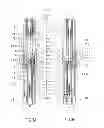 Fig. 04 - Autoinjector