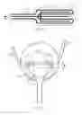 Fig. 08 - Apparatus and methods to modulate bladder function