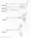 Fig. 09 - Methods for delivering energy into a target tissue of a body