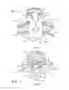 Fig. 02 - Apparatus and methods for removing vertebral bone and disc tissue
