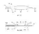 Fig. 22 - Inflatable medical devices