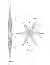 Fig. 34 - Inflatable medical devices