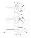Fig. 67 - Inflatable medical devices
