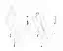 Fig. 81 - Inflatable medical devices