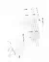 Fig. 82 - Inflatable medical devices