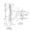 Fig. 90 - Inflatable medical devices