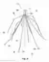 Fig. 06 - Embolus blood clot filter with bio-resorbable coated filter members
