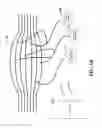 Fig. 03 - Materials and Approaches for Optical Stimulation of the Peripheral Nervous System