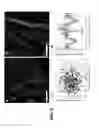 Fig. 10 - Materials and Approaches for Optical Stimulation of the Peripheral Nervous System