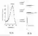 Fig. 06 - Channelrhodopsins for optical control of cells