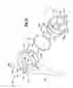 Fig. 35 - Elbow prosthesis