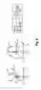 Fig. 09 - DETERMINING A RANGE OF MOTION OF AN ANATOMICAL JOINT