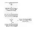 Fig. 01 - Efficient string search