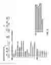 Fig. 07 - CUSTOMIZABLE CONTEXT AND USER-SPECIFIC PATIENT REFERENCEABLE MEDICAL DATABASE
