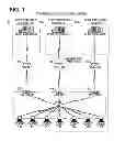 Fig. 02 - Trading Tools for Electronic Trading