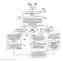 Fig. 19 - ELECTRONIC FINANCIAL MANAGEMENT AND ANALYSIS SYSTEM AND RELATED METHODS