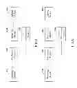 Fig. 06 - METHOD AND SYSTEM FOR PRIVILEGE MANAGEMENT