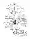 Fig. 04 - Expert answer platform methods, apparatuses and media
