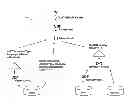 Fig. 01 - Virtual environment spanning desktop and cloud