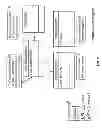 Fig. 04 - Variant database
