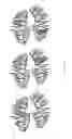 Fig. 10 - Electronic dental charting