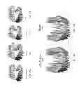 Fig. 12 - Electronic dental charting