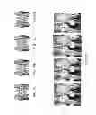 Fig. 13 - Electronic dental charting