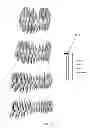Fig. 22 - Electronic dental charting