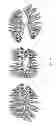 Fig. 26 - Electronic dental charting