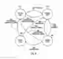 Fig. 09 - Service management roles of processor nodes in distributed node service management