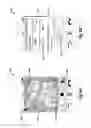 Fig. 09 - Uploading and streaming of video and other rich content