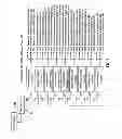 Fig. 08 - Stream flow chemical process information system and method