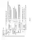 Fig. 12 - Stream flow chemical process information system and method