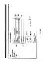 Fig. 41 - Stream flow chemical process information system and method