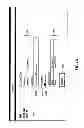 Fig. 49 - Stream flow chemical process information system and method