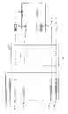 Fig. 02 - Implementing single sign-on across a heterogeneous collection of client/server and web-based applications